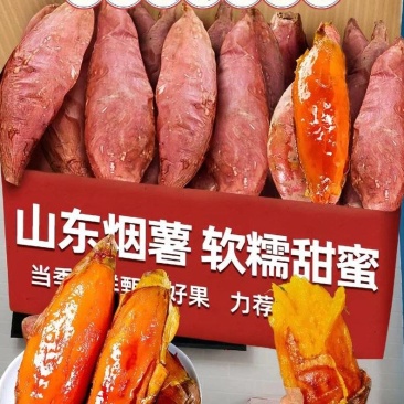烟薯25,西瓜红,板栗薯,产地直供,对接市场,商超,外贸