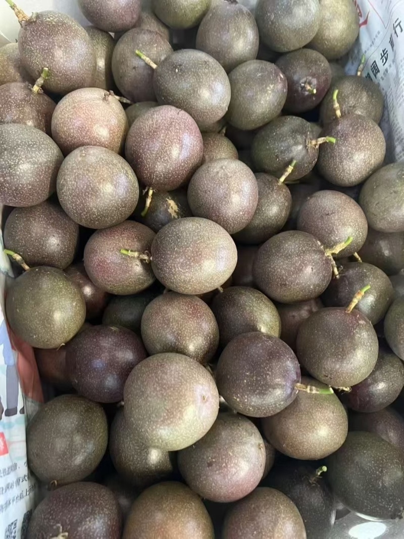 金都三号水密桃百香果