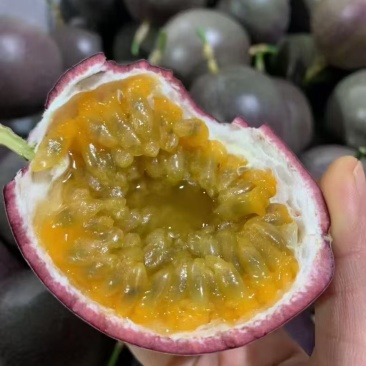 金都三号水密桃百香果