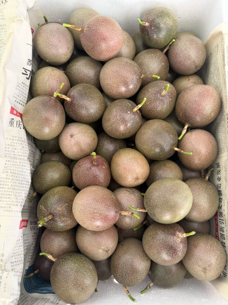 金都三号水密桃百香果
