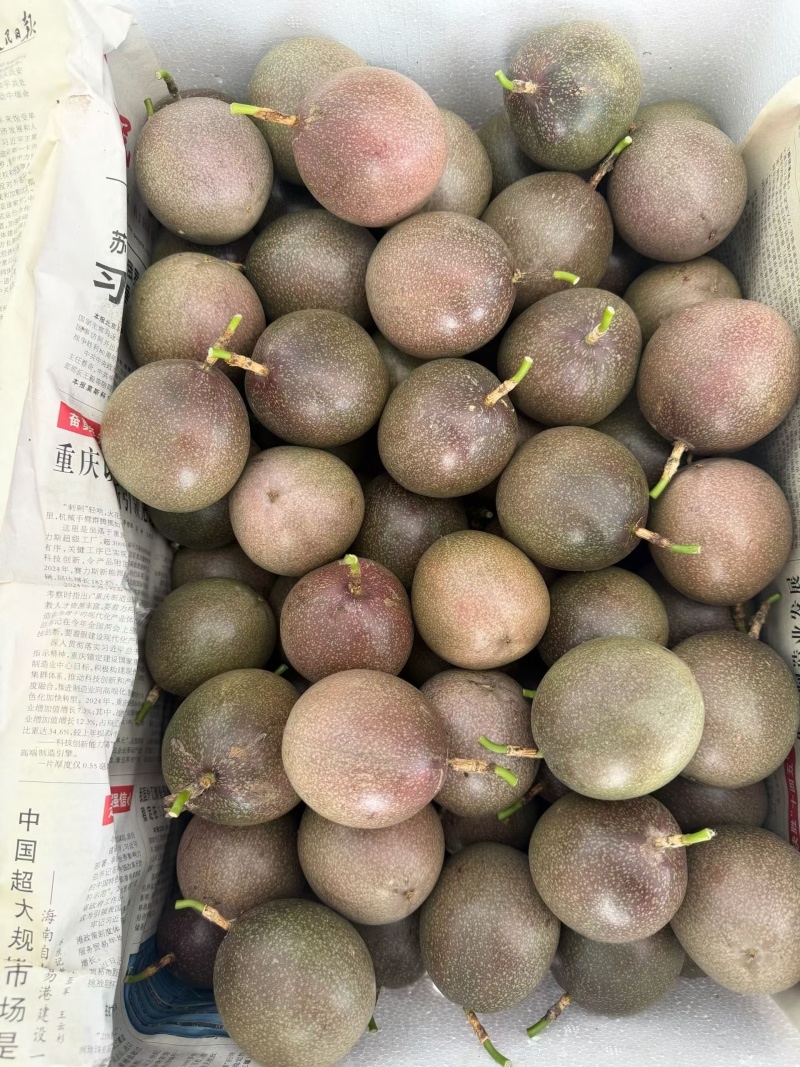 金都三号水密桃百香果