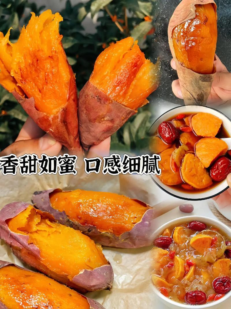 烟薯25，西瓜红，板栗薯，产地直供，对接市场，商超，外贸
