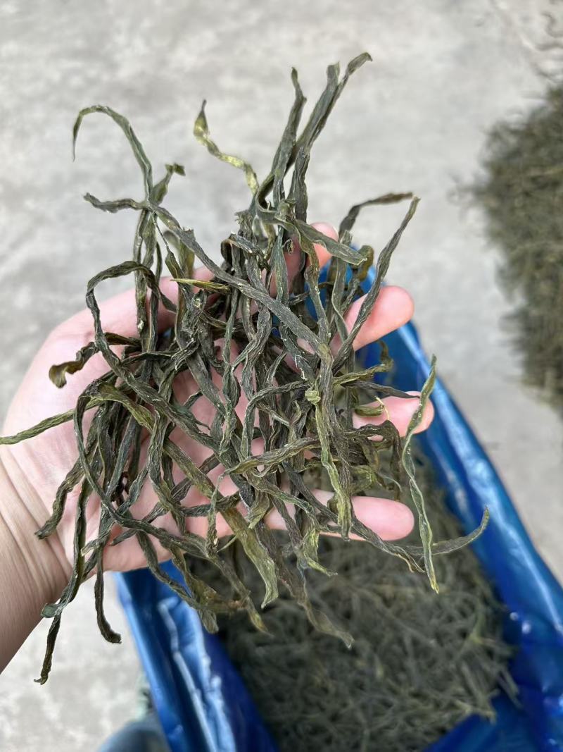 架豆王一级二级三级