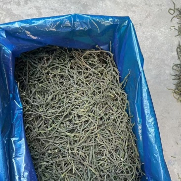 架豆王一级二级三级
