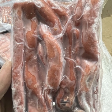去两头大红海肠