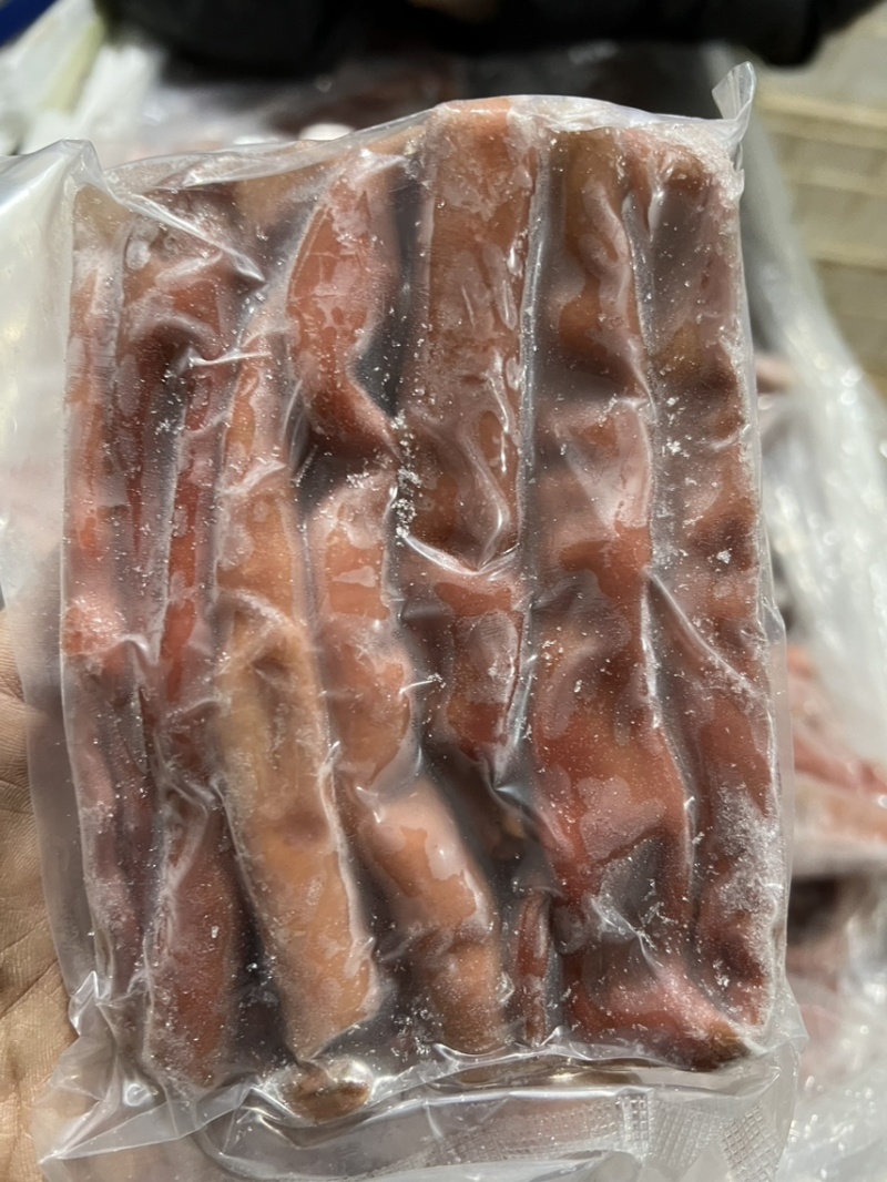 去两头大红海肠