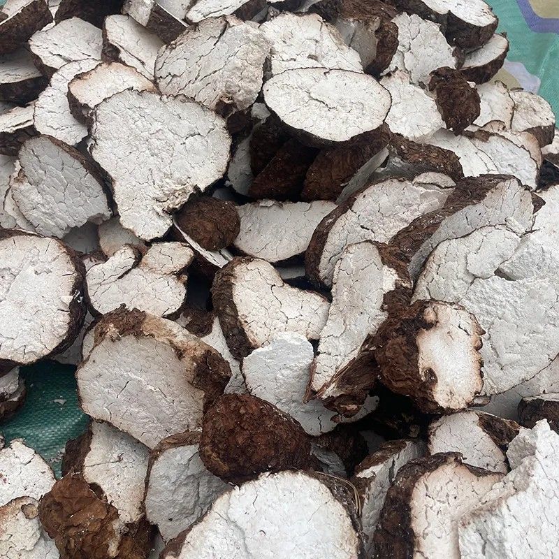 正宗云南树桩茯苓新茯苓原生态正品茯神茯苓生切无硫茯