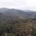 自家山茶油一万斤