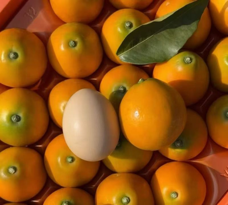 脆蜜金桔，