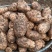 云南昭通小草坝天麻对接电商市场量大从优规格全欢迎老板来电