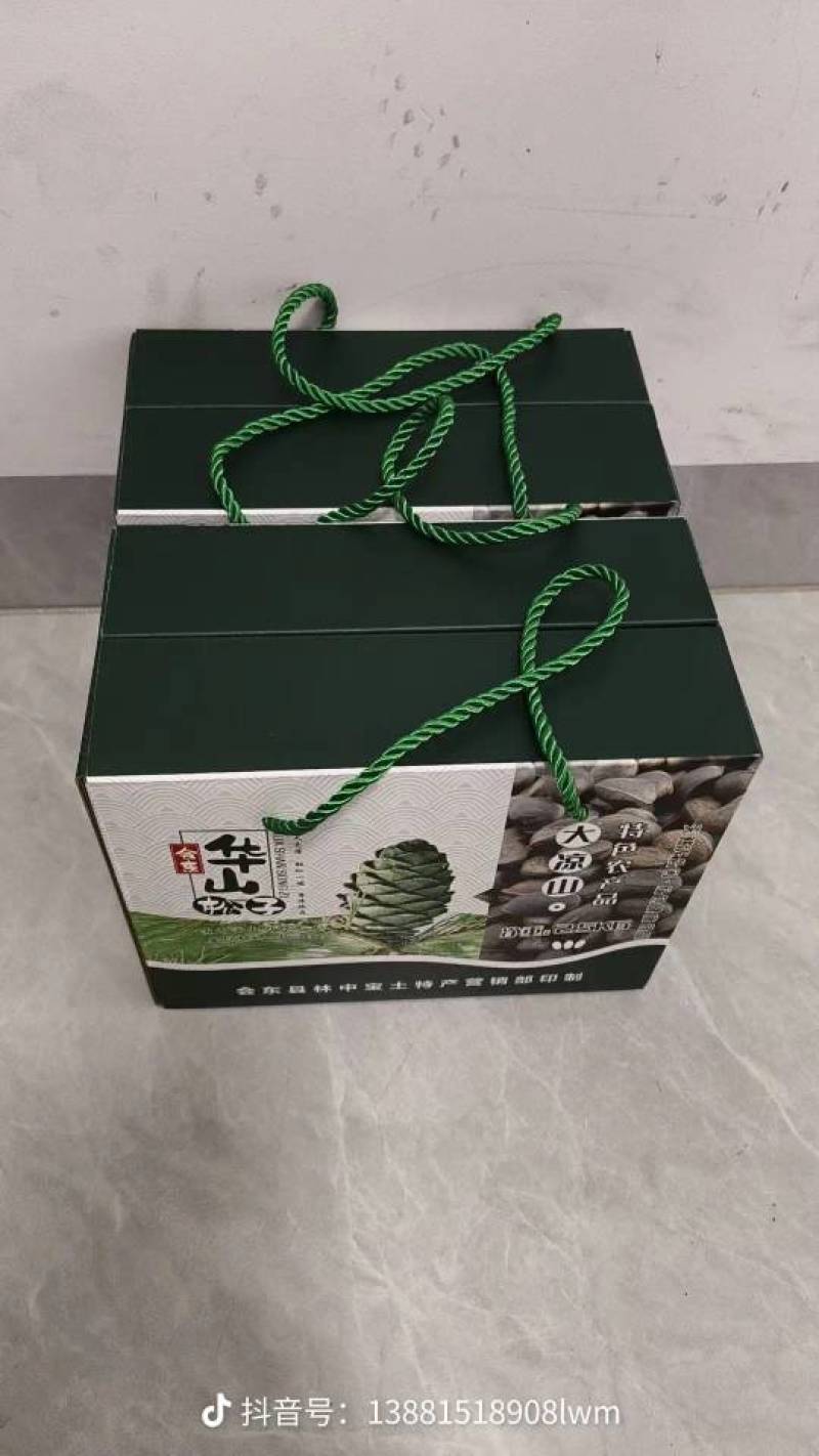 凉山会东县华山松松籽