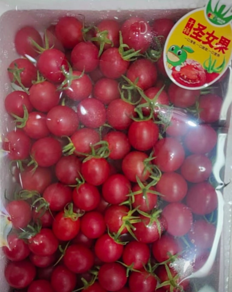 圣女果
