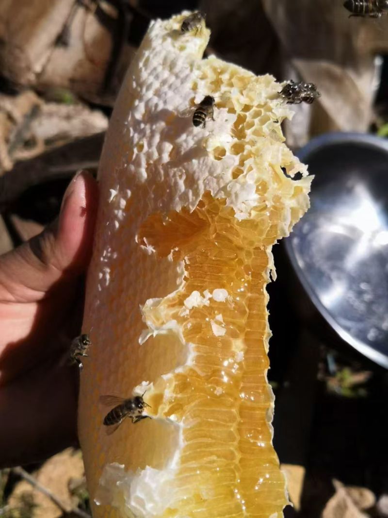高山纯野生蜂蜜，全结晶
