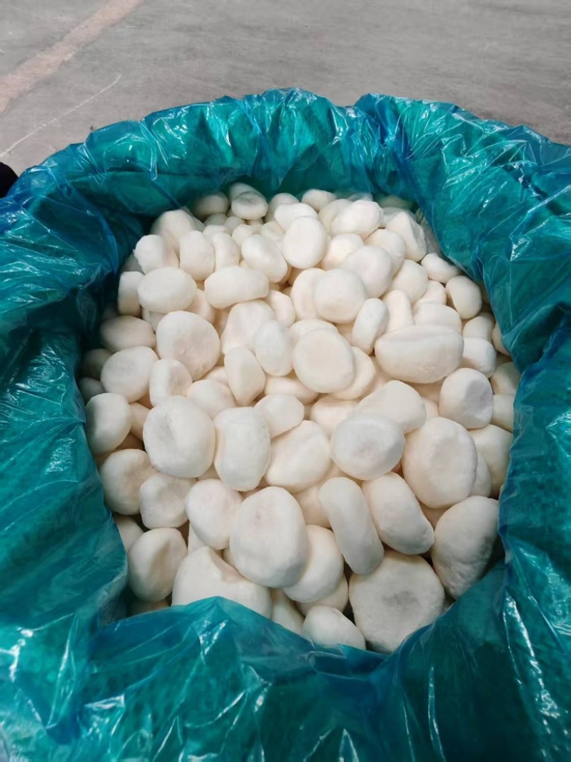 去皮马蹄荸荠地栗脱皮新鲜水果蔬菜现削脆甜真空包装批发