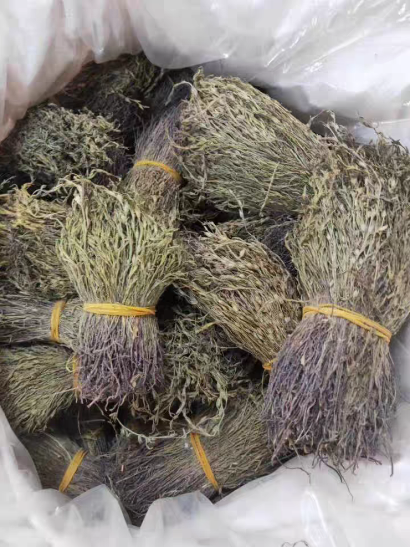 青绿猪脚金独脚金无硫熏自然晒干颜色好大货供应