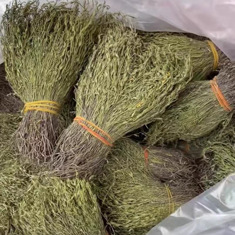 青绿猪脚金独脚金无硫熏自然晒干颜色好大货供应