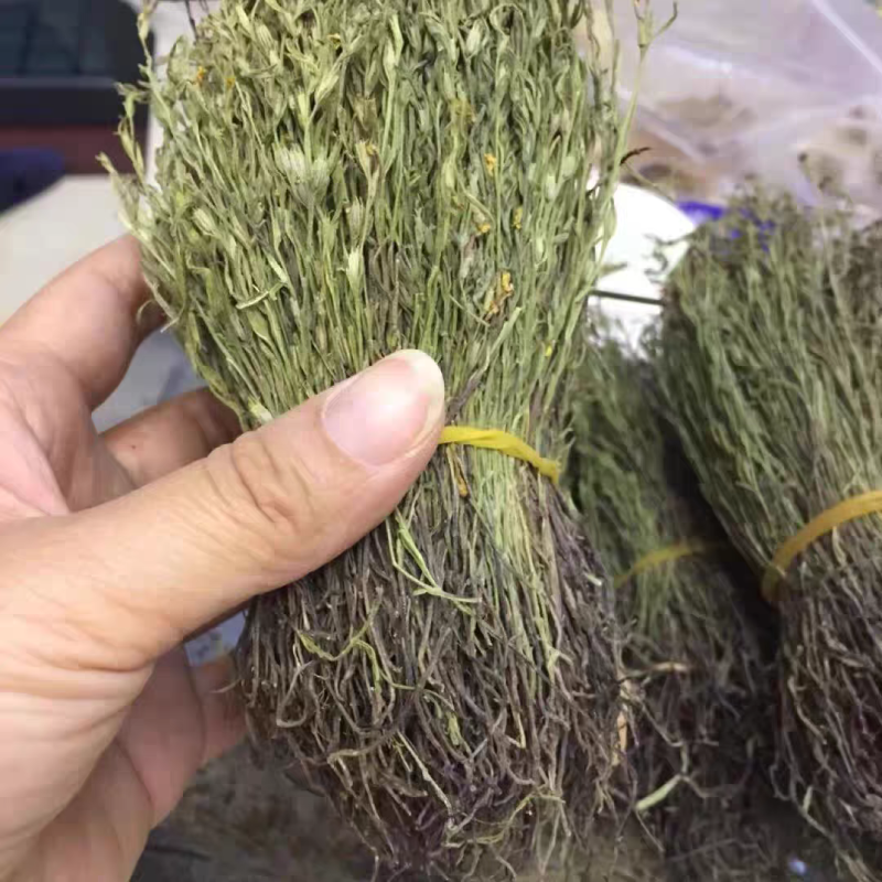 青绿猪脚金独脚金无硫熏自然晒干颜色好大货供应