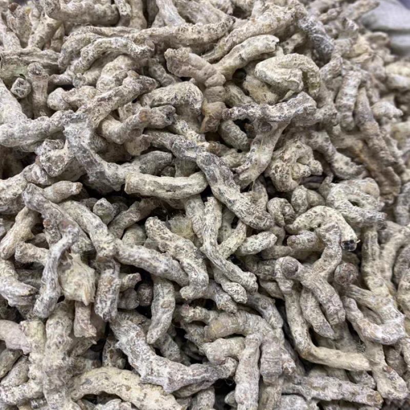 白僵蚕中药材僵蚕姜虫保质保量不掺假大货供应诚信