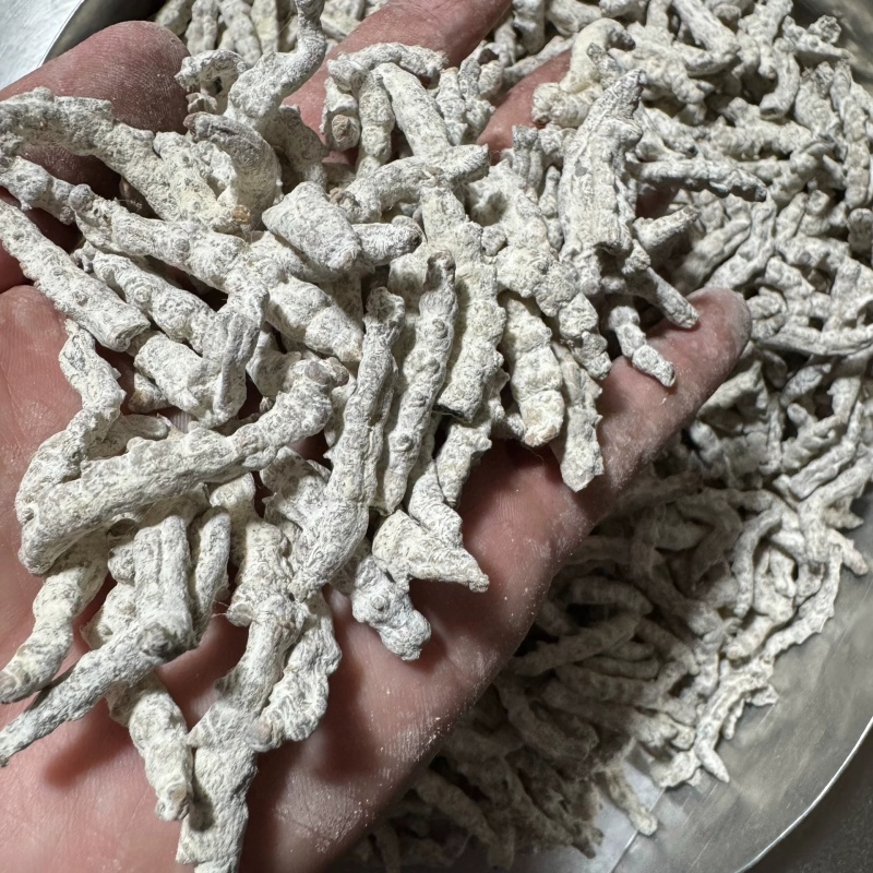 白僵蚕中药材僵蚕姜虫保质保量不掺假大货供应诚信