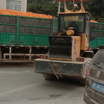 次果代收购大小混合堆放