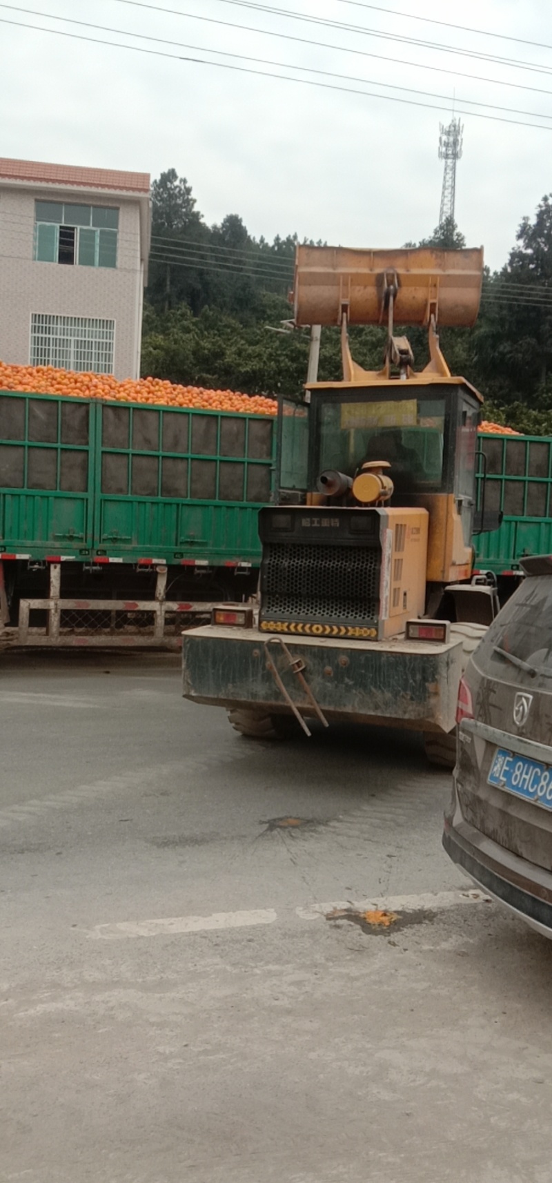 次果代收购大小混合堆放