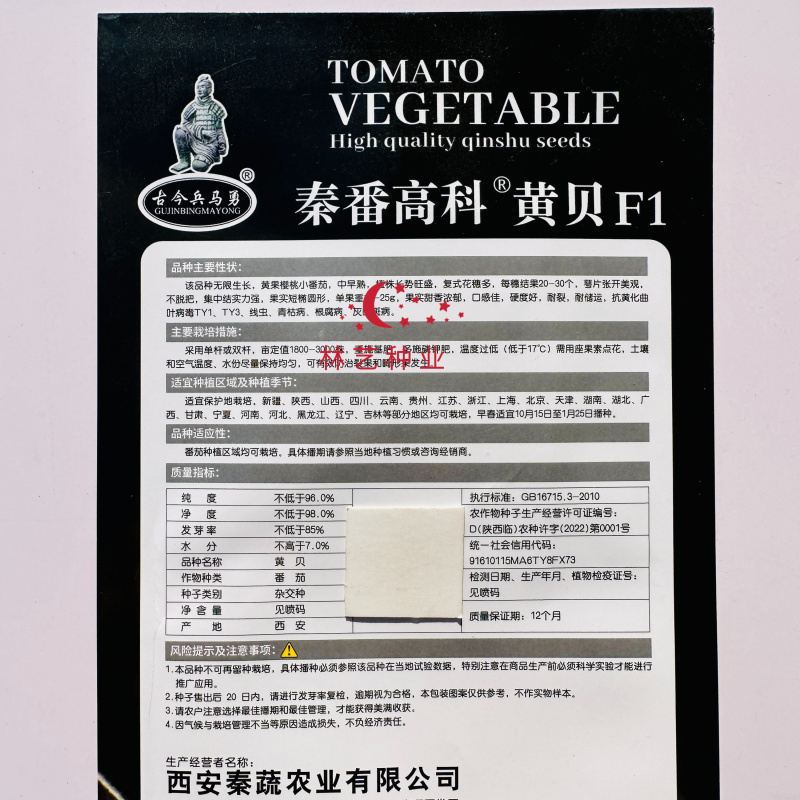 黄贝小番茄种子中熟无限生长型樱桃番茄圣女果黄果