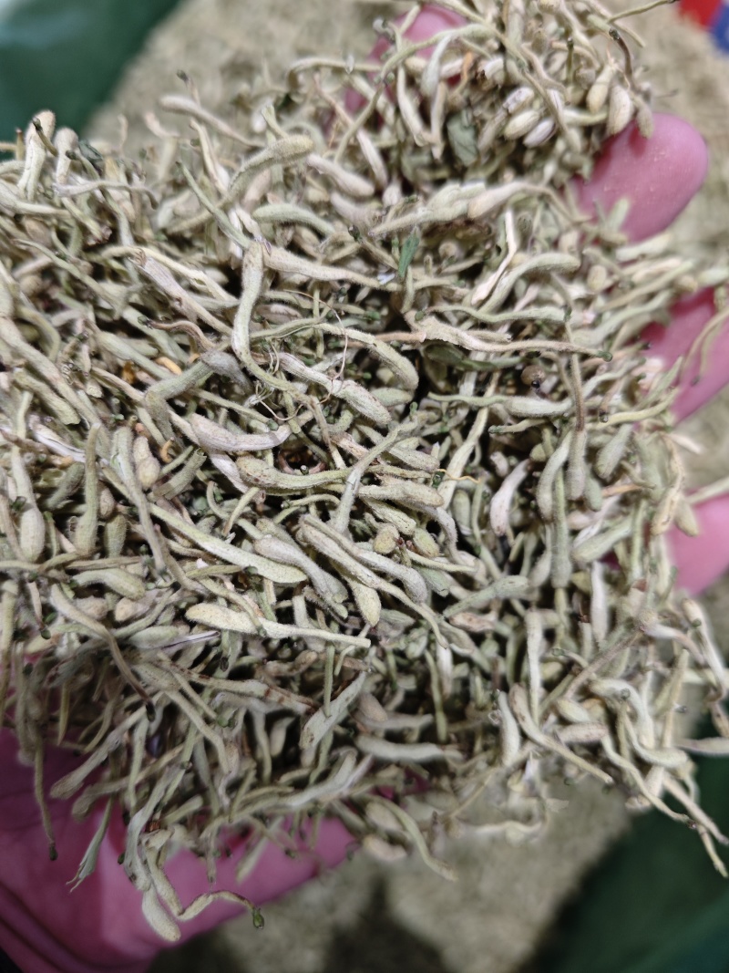 金银花