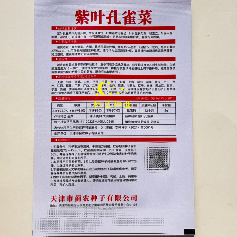 紫叶孔雀菜种子生菜种籽四季青菜沙拉菜种孑阳台盆栽蔬菜菜籽