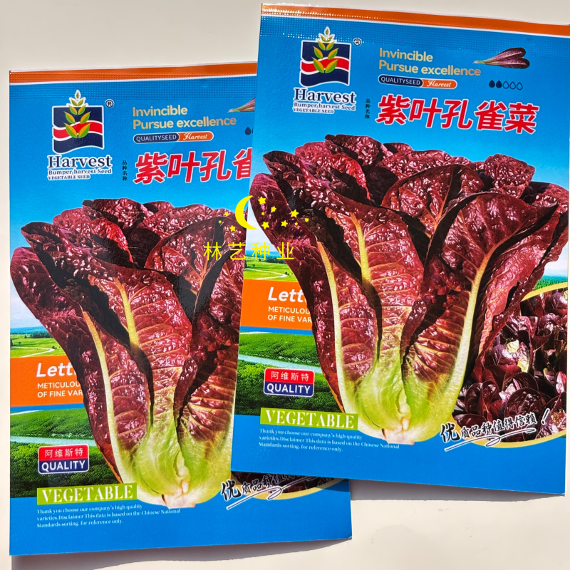 紫叶孔雀菜种子生菜种籽四季青菜沙拉菜种孑阳台盆栽蔬菜菜籽
