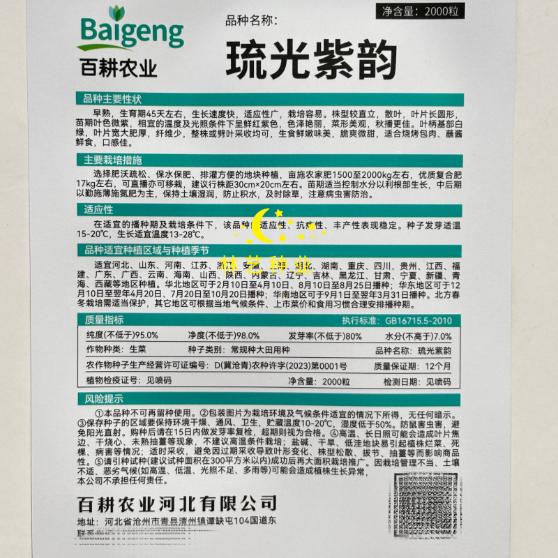 琉光紫韵生菜种子紫罗马生菜沙拉菜四季种生吃香甜生菜种