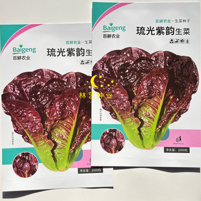 琉光紫韵生菜种子紫罗马生菜沙拉菜四季种生吃香甜生菜种