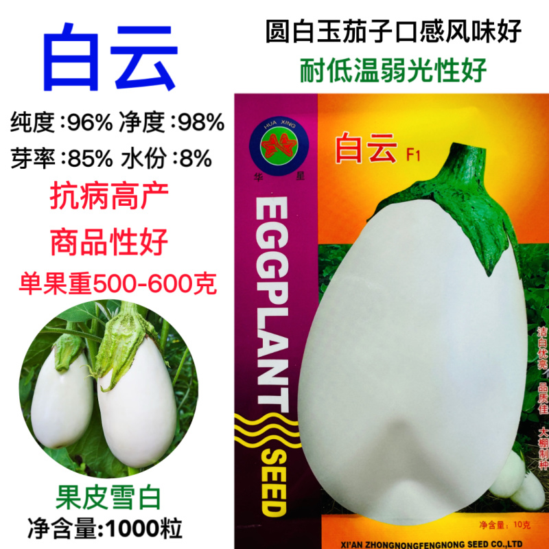 白云F1白罐茄种子早熟鸡蛋茄子种子杂交白云圆茄蔬菜种