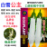 华星白雪公主茄子种子早熟高产抗病抗逆性强蔬菜
