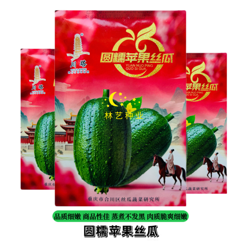 圆糯苹果丝瓜种子菜瓜种籽肉丝瓜圆丝瓜菜瓜籽种四季蔬菜