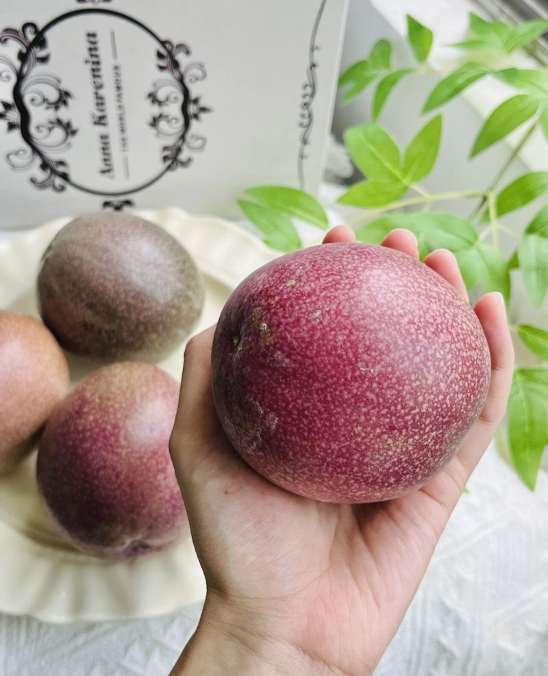 金都3号百香果苗