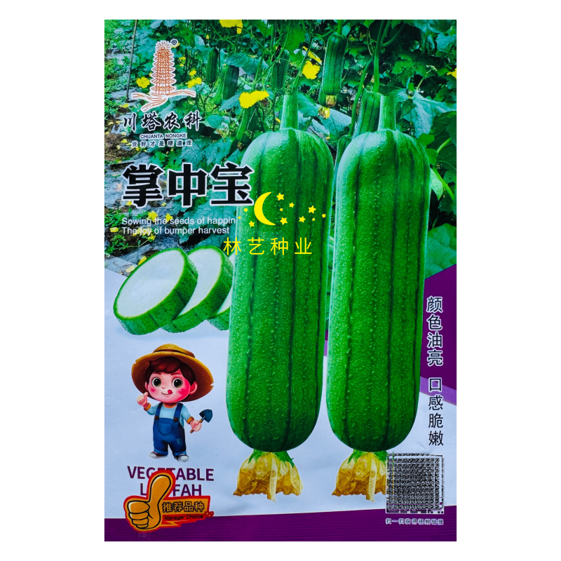 川塔掌中宝丝瓜种子新品种短棒肉丝瓜高产抗病适应性广