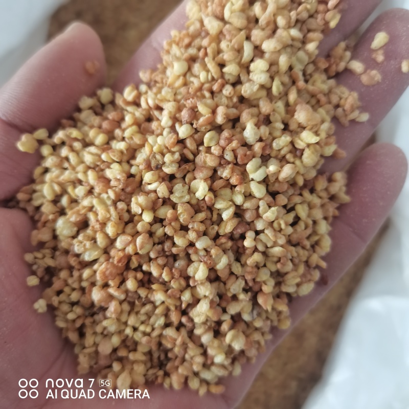 黄荞麦茶黄苦荞新货常年大货供应量大从优