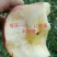 山西运城临猗红冰糖心富士苹果大量有货，个头大，水分足，红