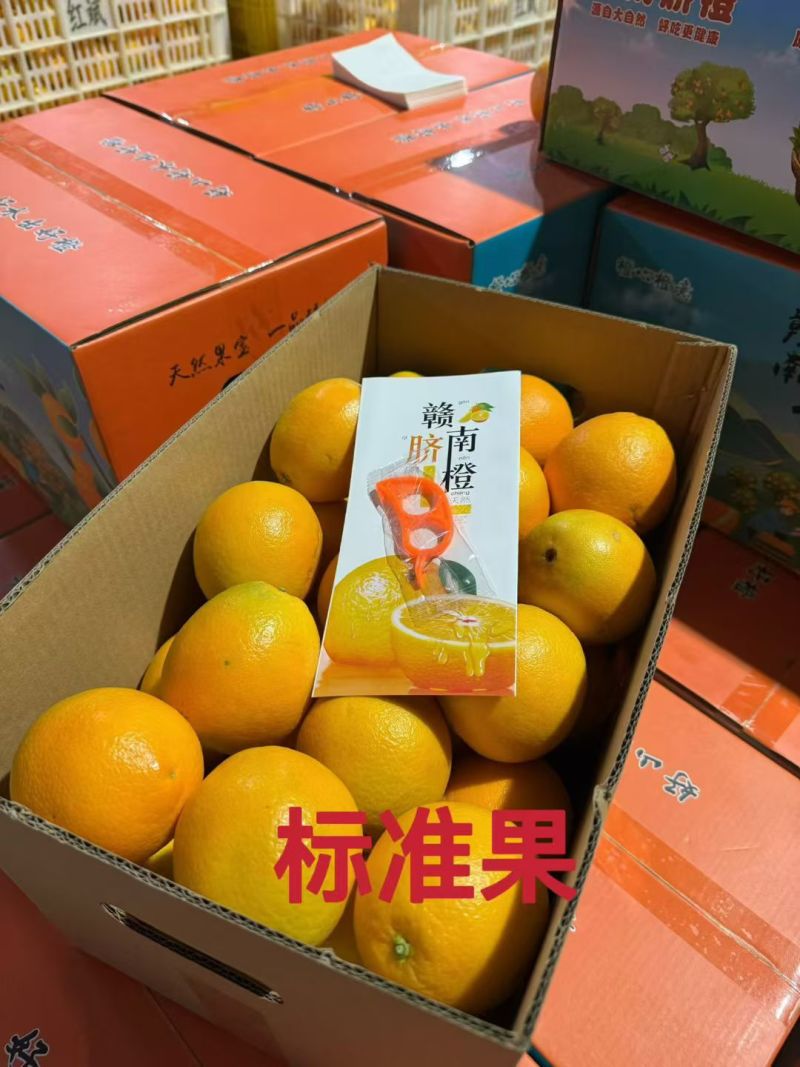 赣南脐橙代办代发一件包邮