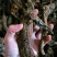 木香云木香成品干货
