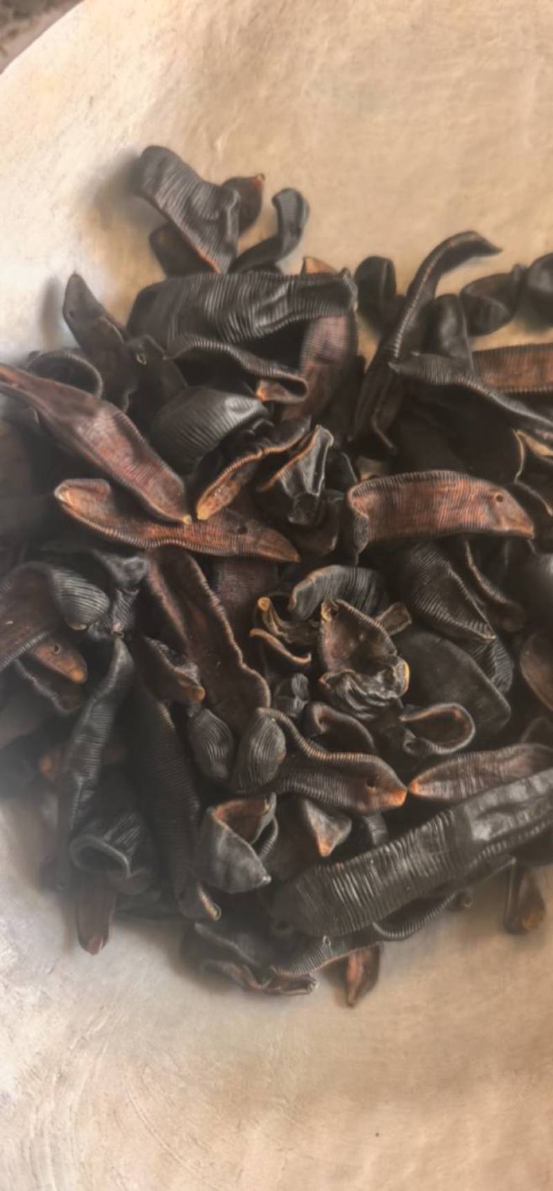 《水蛭》清水水蛭吊杆水蛭蚂蝗蚂蝗干水蛭聚源中药