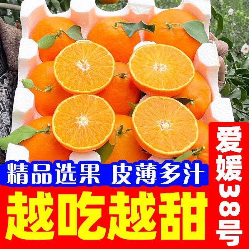 【商超同款】果冻橙爱媛38号新鲜水果四川净重5/9斤爆汁