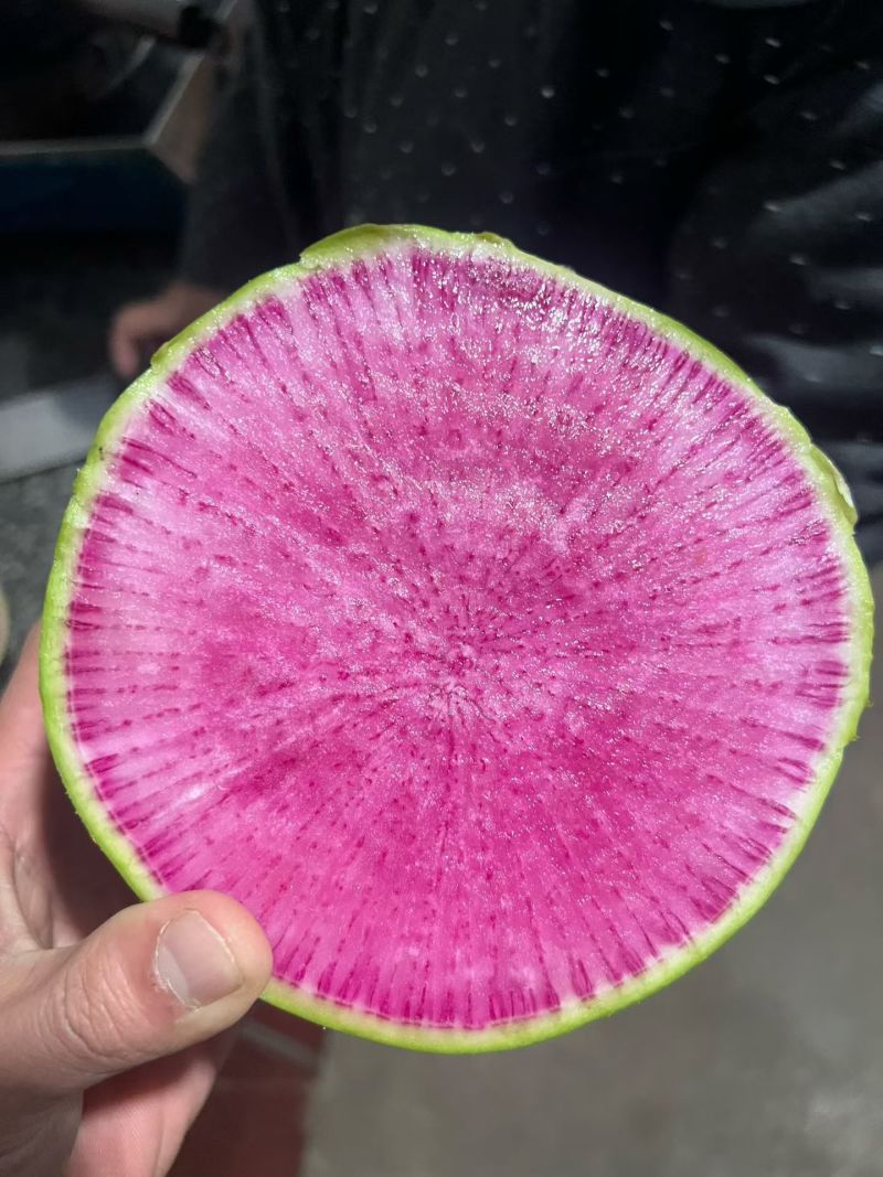 红萝卜