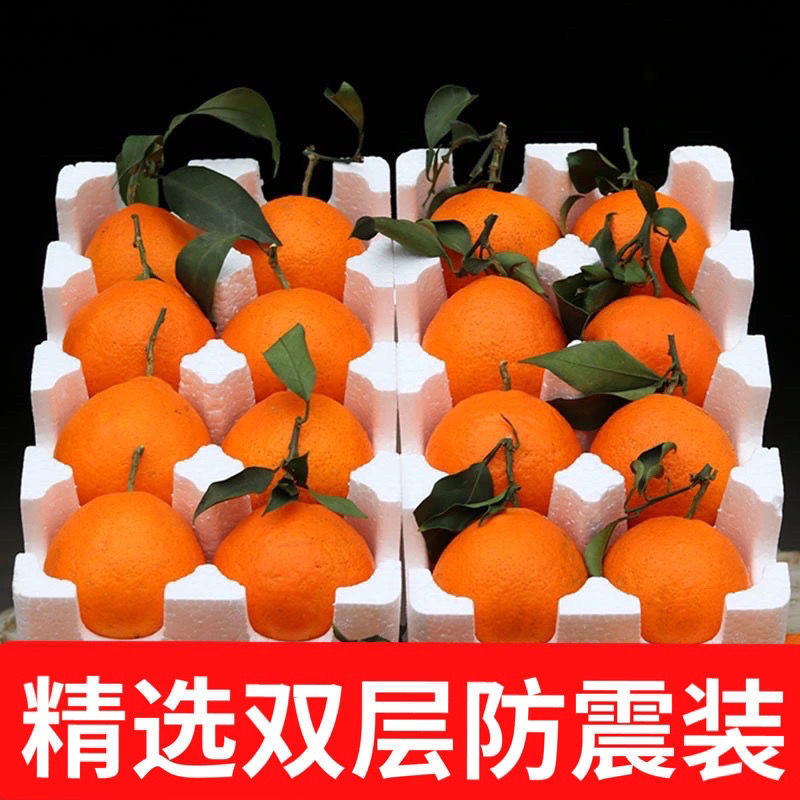 【彩箱普邮】四川爱媛38号重庆净重5斤