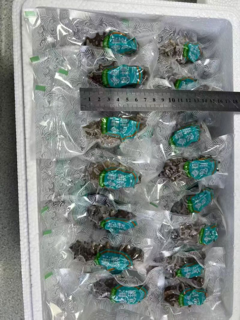 地标认证大连海参，有溯源，手续齐全，电商对接此款，