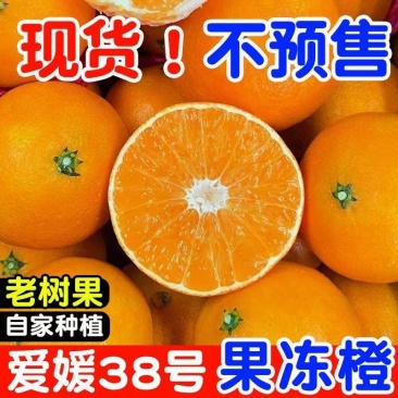 爆汁】正宗爱媛38号果冻橙手剥薄皮橙子新鲜水果整箱批发