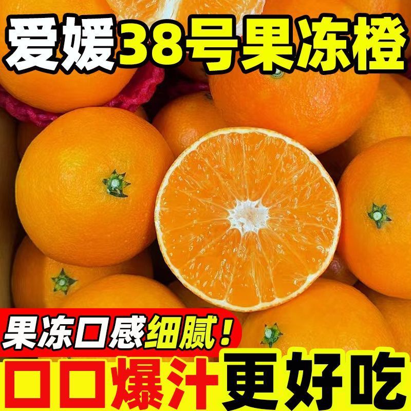 爆汁】正宗爱媛38号果冻橙手剥薄皮橙子新鲜水果整箱批发