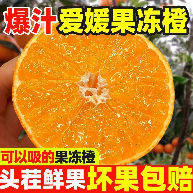 爆汁】正宗爱媛38号果冻橙手剥薄皮橙子新鲜水果整箱批发