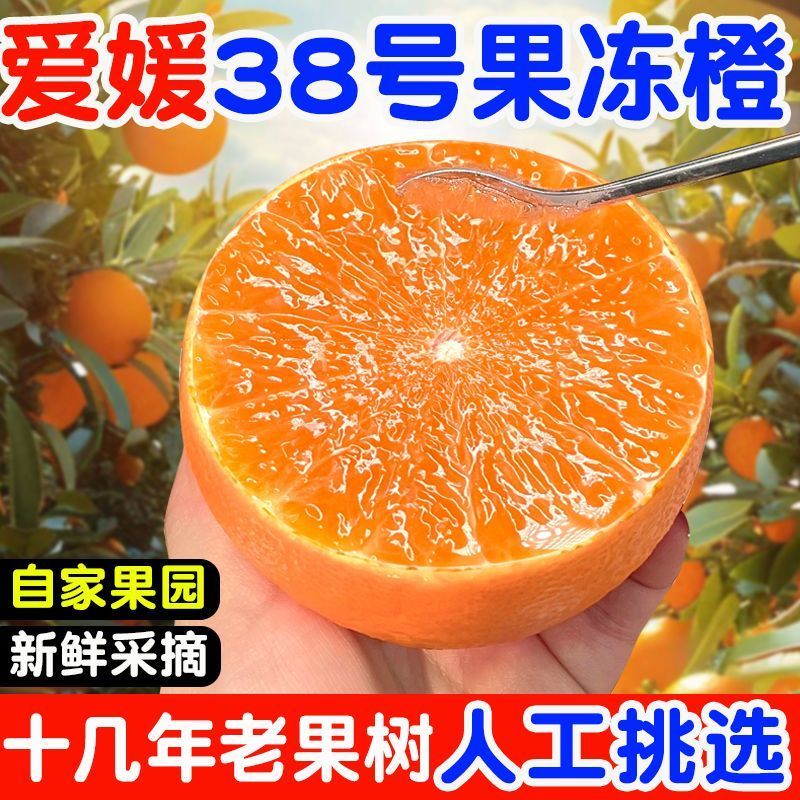 【彩箱】正宗四川爱媛38号果冻橙眉山应当季手剥橙子批发