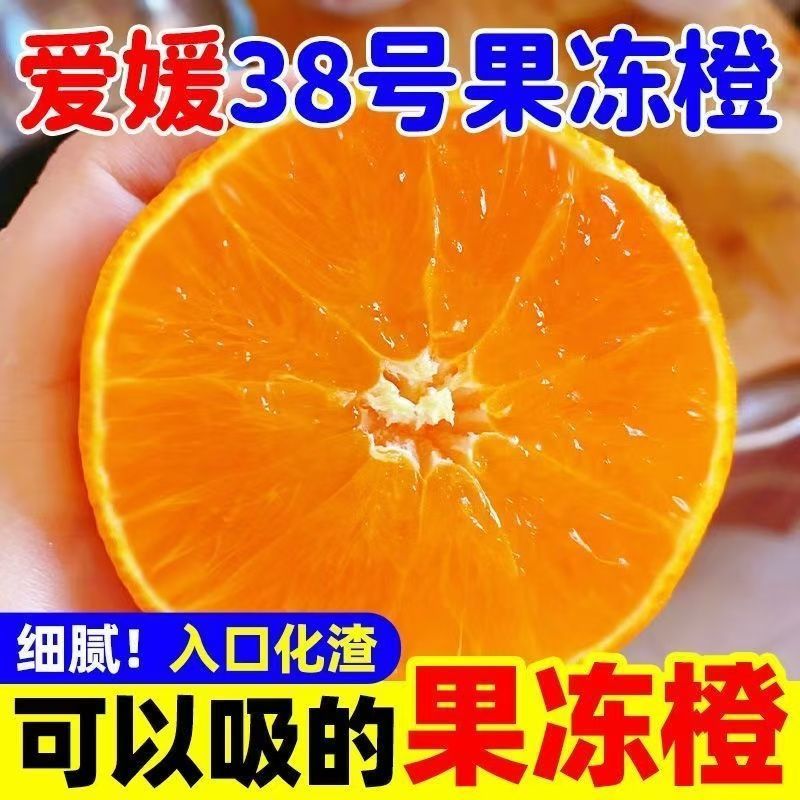 【彩箱】正宗四川爱媛38号果冻橙眉山应当季手剥橙子批发